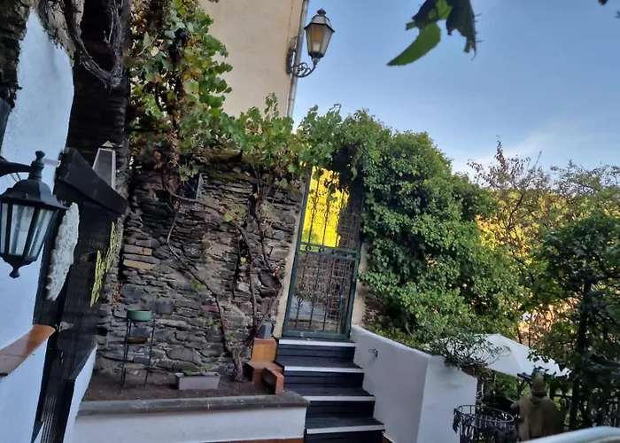 Haus Sofia 招待所